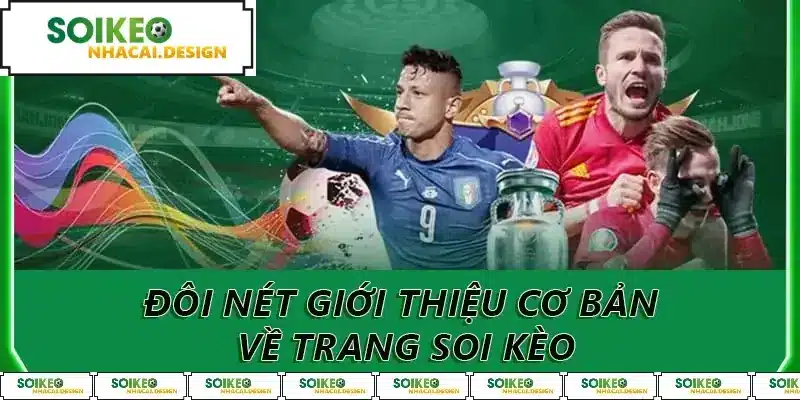 Đôi nét giới thiệu cơ bản về trang soi kèo