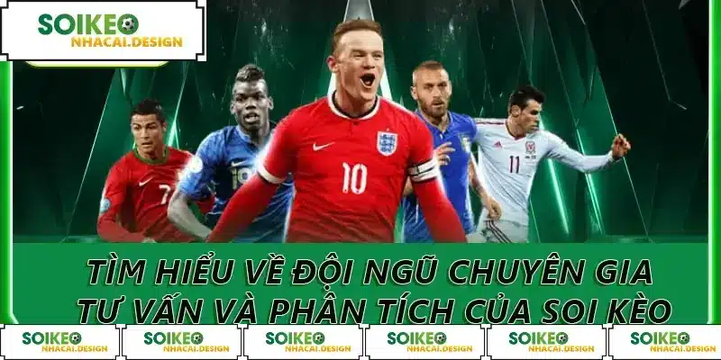 Tìm hiểu về đội ngũ chuyên gia tư vấn và phân tích của Soi Kèo
