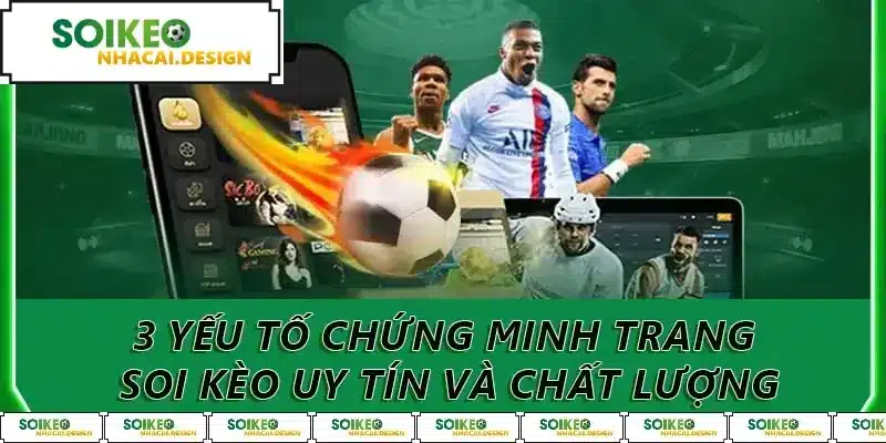 3 yếu tố chứng minh trang soi kèo uy tín và chất lượng